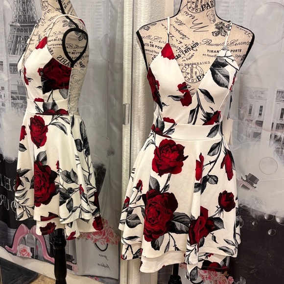 iris Dresses & Skirts - NWT Iris Red and White Rose Fit and Flare Mini Dress